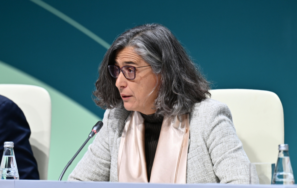 UN HABITAT: İyirmi ildən sonra 2,4 milyard insanın şəhərlərə köçəcəyi gözlənilir VİDEO