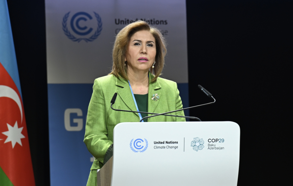 Bahar Muradova: Səylərin birləşdirilməsi ekoloji problemlərdən minimal itkilərlə çıxmağın əsas şərtidir VİDEO