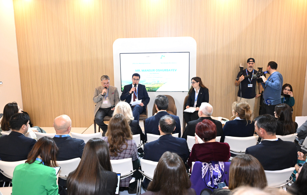 COP29-da plastik tullantıların effektiv idarə edilməsi məsələsi müzakirə olunub VİDEO