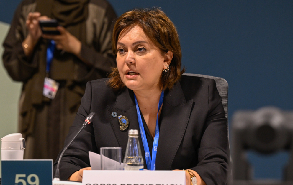 COP29 çərçivəsində Rio-Trio Təşəbbüsünə həsr olunmuş tədbir keçirilib VİDEO