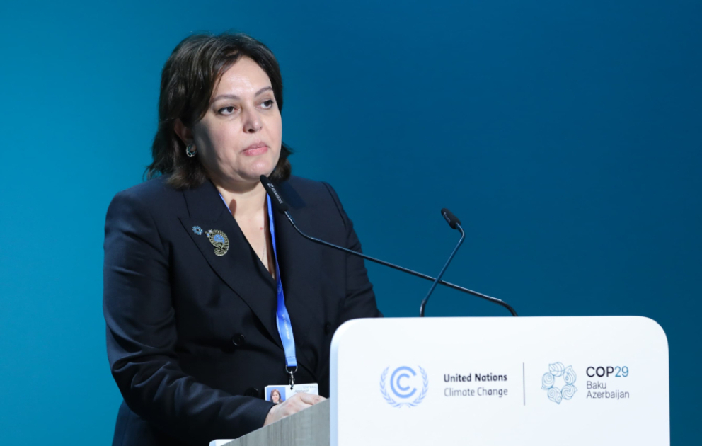 Umayra Tağıyeva: Meşələr üçün iqlim maliyyələşməsi səfərbər edilməlidir VİDEO