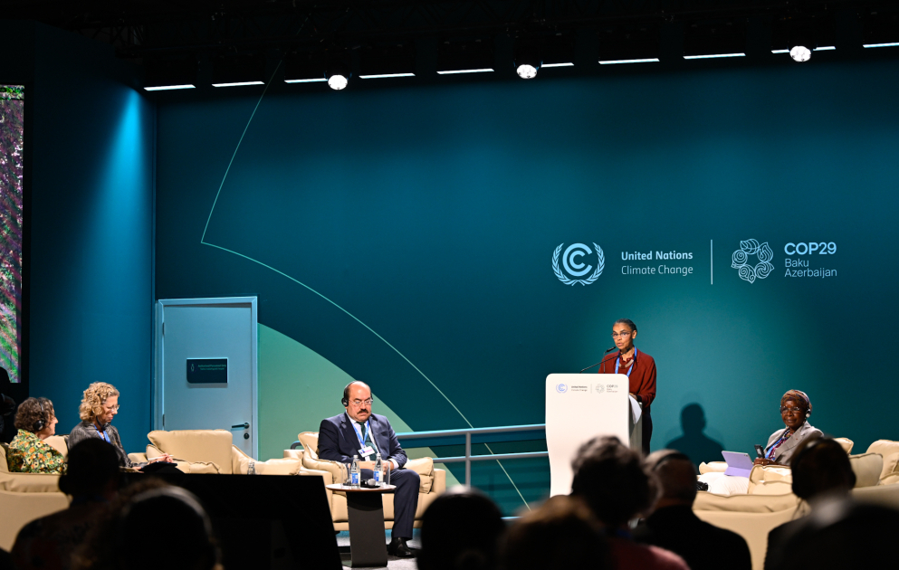 COP29-da meşələr üçün iqlim maliyyəsinin artırılması məsələsi müzakirə edilib VİDEO
