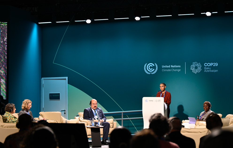 На COP29 обсуждался вопрос увеличения климатического финансирования лесов ВИДЕО