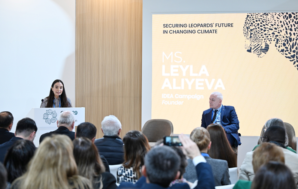 Leyla Əliyeva COP29 çərçivəsində bəbirlərin mühafizəsinə həsr olunmuş tədbirdə çıxış edib VİDEO