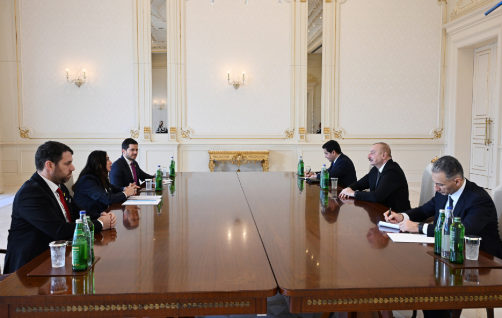 President Ilham Aliyev received Israel's Minister of Transport and Road Safety VIDEO