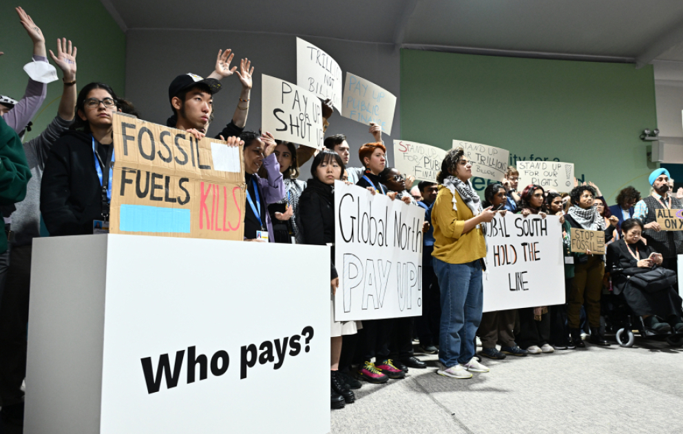 На COP29 прошла очередная акция ВИДЕО