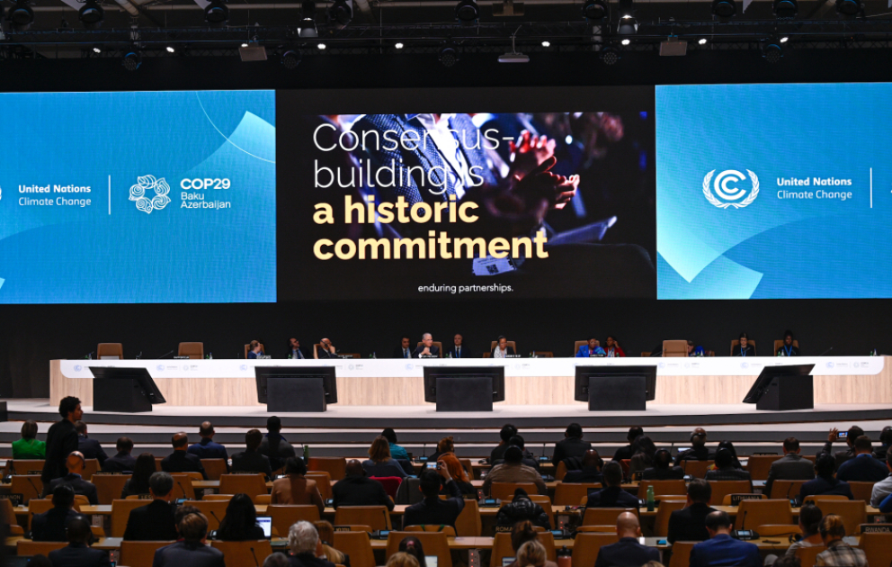 Состоялось заключительное пленарное заседание COP29, принят ряд важных решений  ОБНОВЛЕНО  ВИДЕО