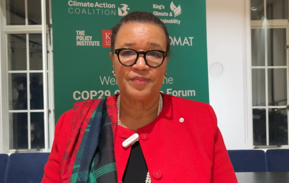 Баронесса Патрисия Скотланд: Мы добились значительного успеха на COP29 ВИДЕО
