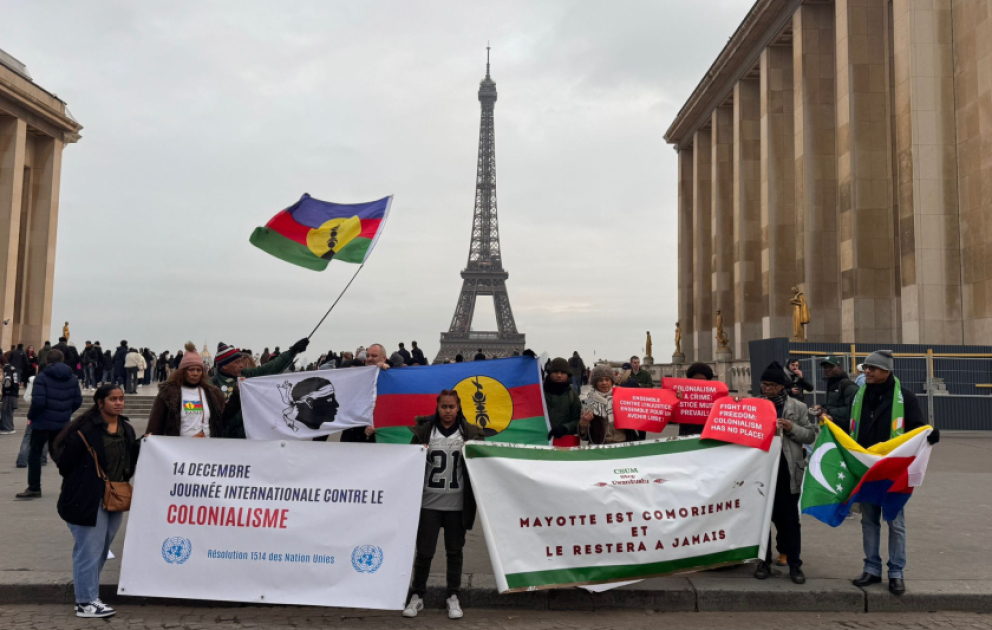 Fransa müstəmləkəsi olan ölkələrin nümayəndələri Parisdə İnsan Hüquqları meydanında aksiya keçiriblər VİDEO