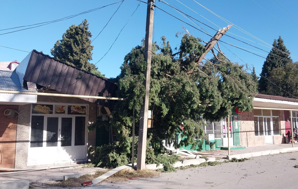Güclü külək Göyçayda fəsadlar törədib, elektrik enerjisinin verilişi dayandırılıb VİDEO