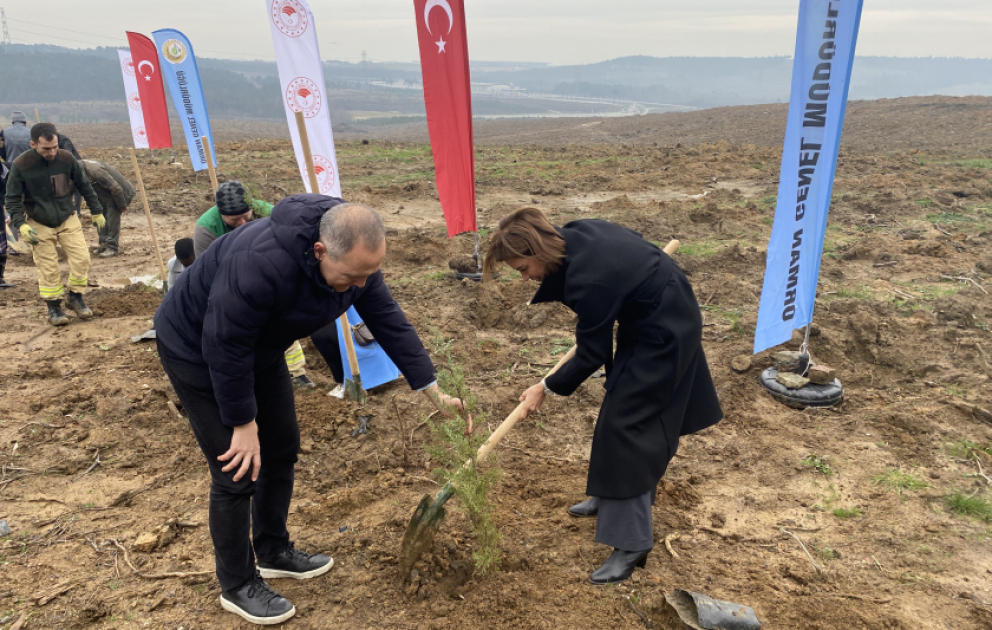Baş konsulluğumuzun təşəbbüsü ilə İstanbulda ağacəkmə aksiyası keçirilib VİDEO