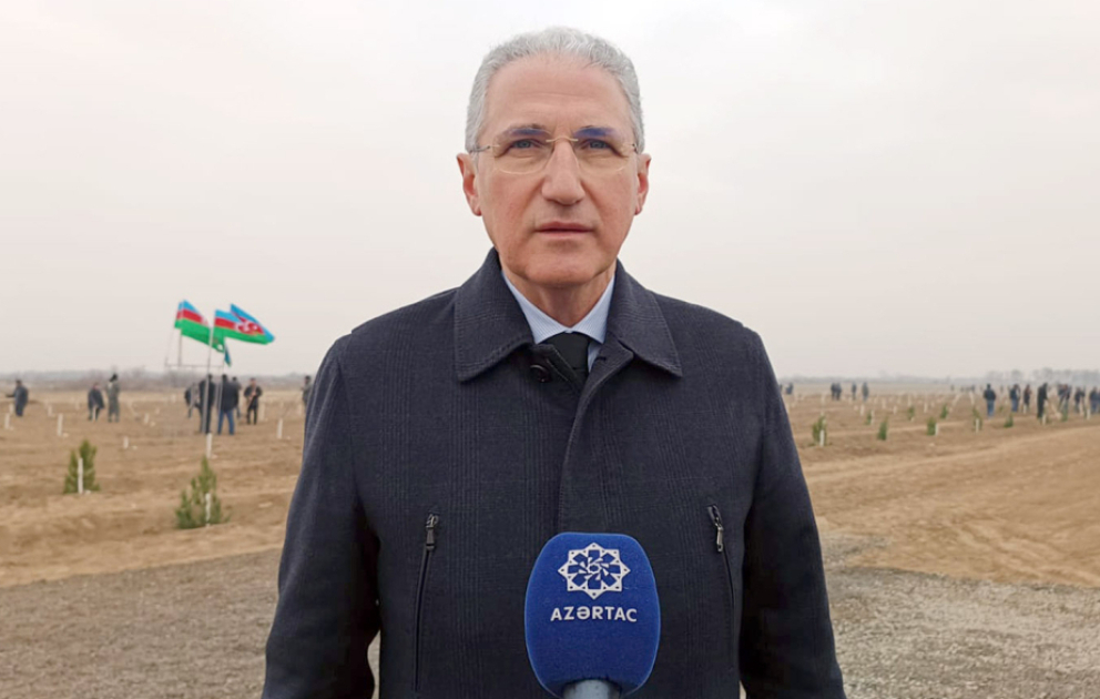 Мухтар Бабаев: Одна из основных причин высыхания деревьев - изменение климата ВИДЕО