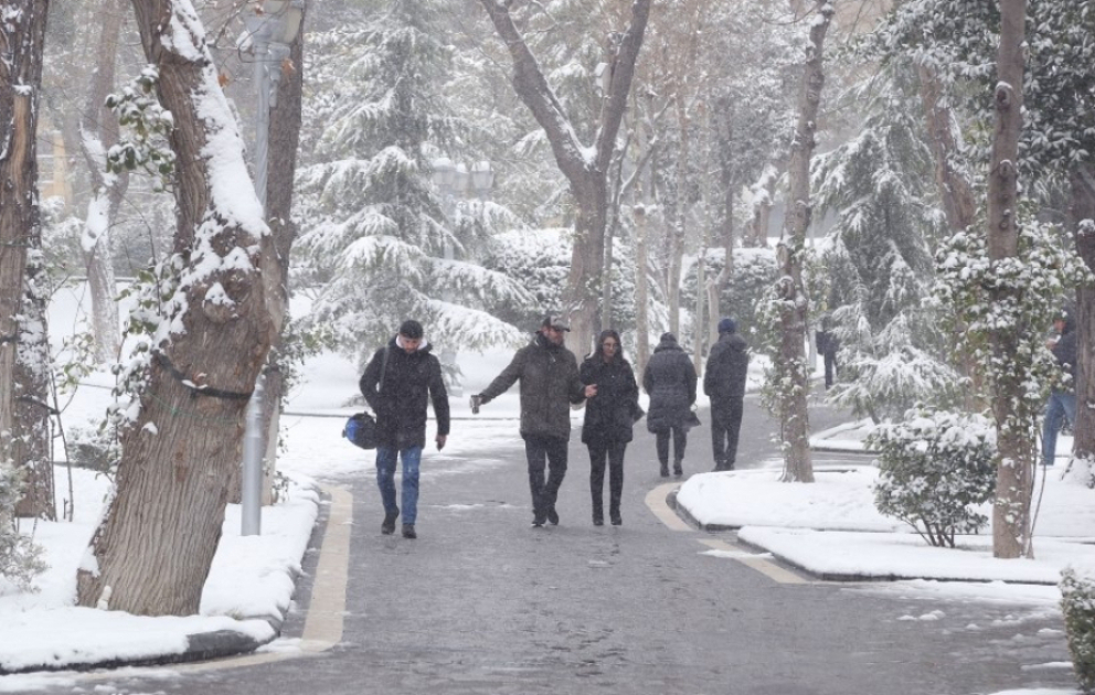 Bakıda və Abşeron yarımadasında gecə 5-8° şaxta olacaq VİDEO
