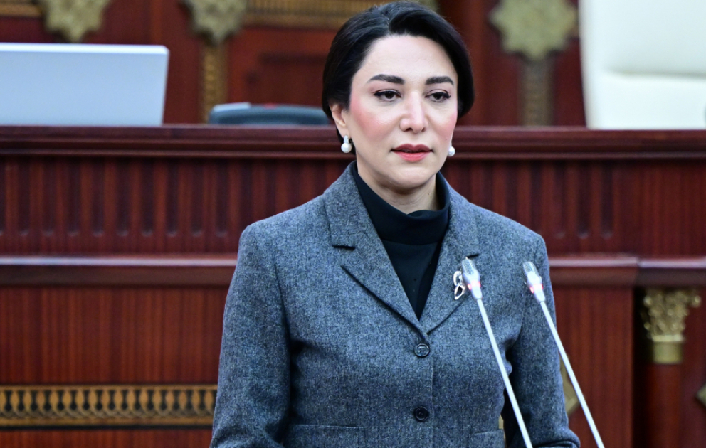 Müvəkkil: Ünvanlı sosial yardımın təminatı üçün qanuni müddət mühüm rol oynayır VİDEO