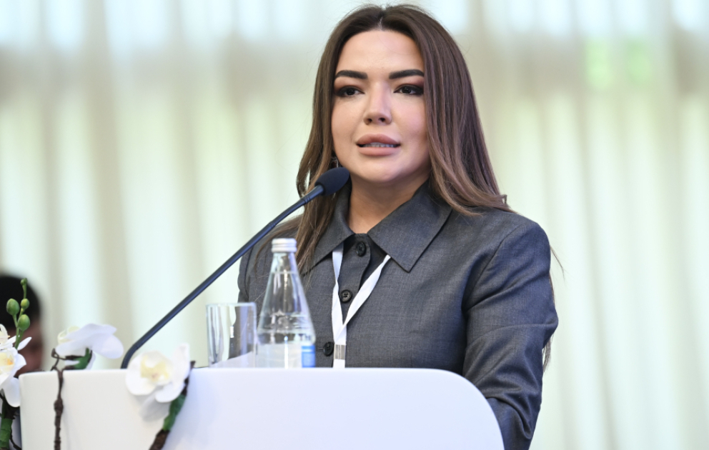 İcraçı direktor: Ümummilli Lider həmişə türkmanların Azərbaycanla olan tarixi bağlarına xüsusi önəm verirdi VİDEO