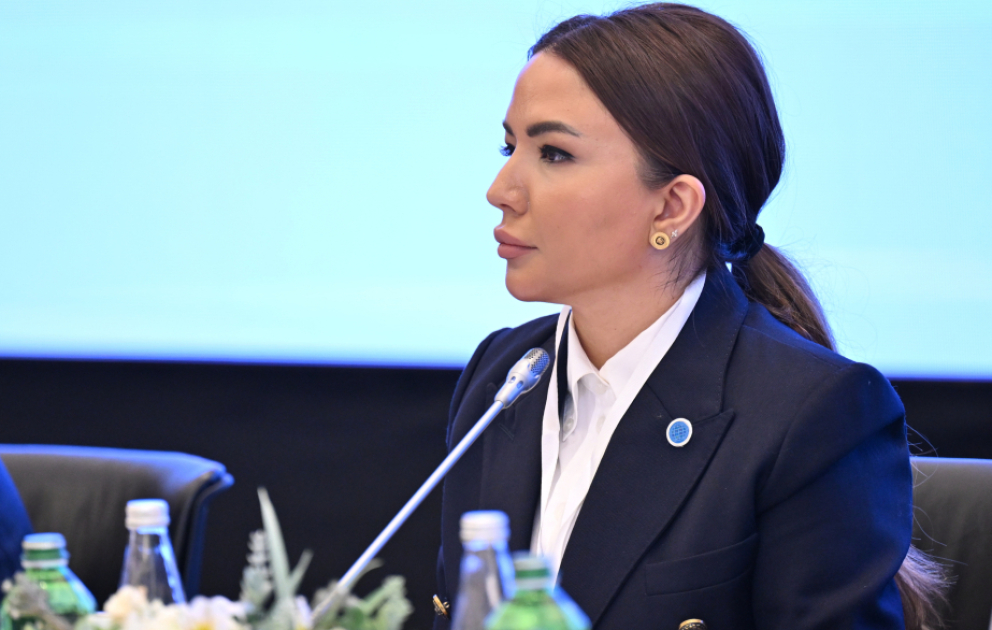 Aygün Əliyeva: Yerli QHT-lərin beynəlxalq layihələrdə fəal iştirakını sistemli şəkildə dəstəkləyirik VİDEO