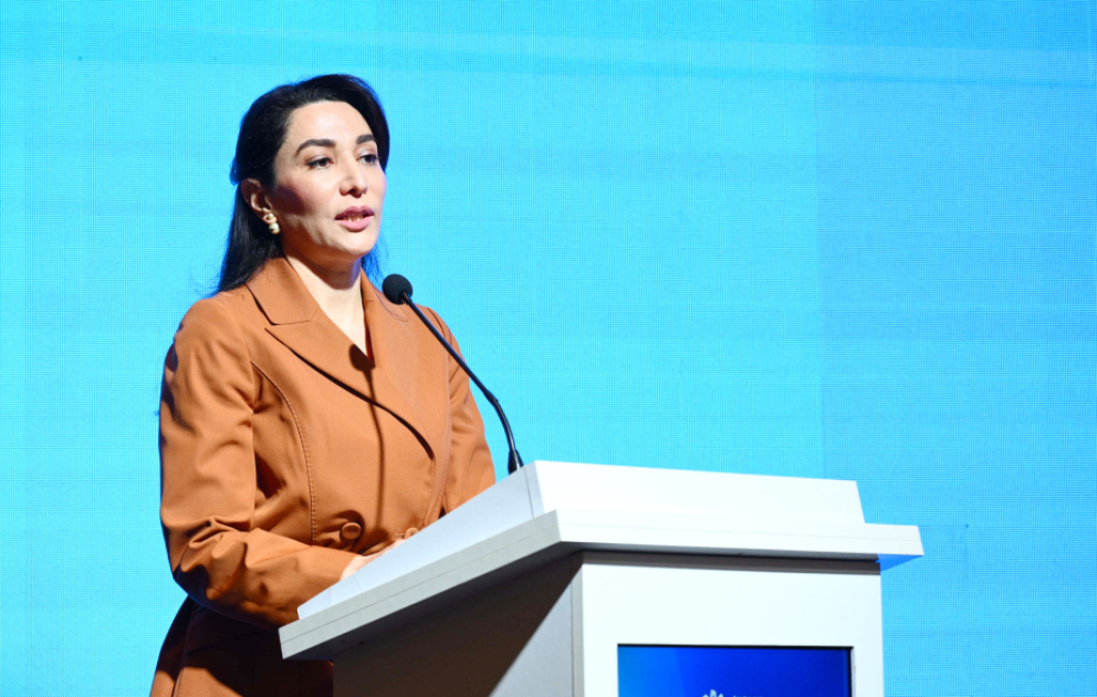 Ombudsman: Media sahəsində fəaliyyət zamanı milli-mənəvi dəyərlər nəzərə alınmalıdır VİDEO