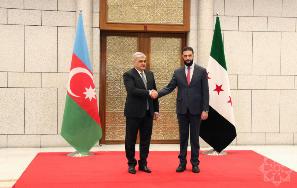 Azerbaijani delegation visits Syria VIDEO