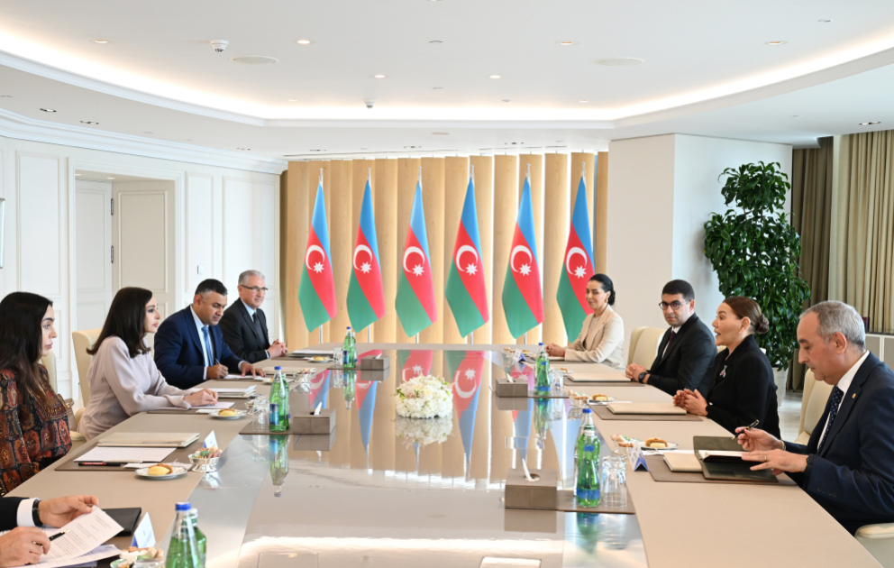 First Vice-President of Azerbaijan Mehriban Aliyeva met with Morocco’s Princess Lalla Hasnaa VIDEO