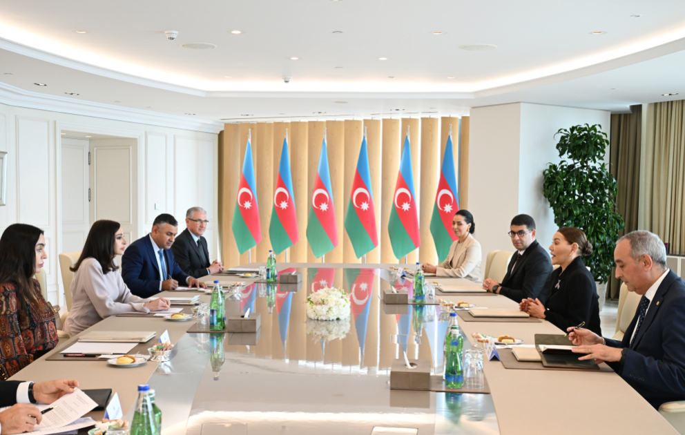 Erste Vizepräsidentin Aserbaidschans Mehriban Aliyeva trifft Prinzessin Lalla Hasnaa von Marokko VIDEO