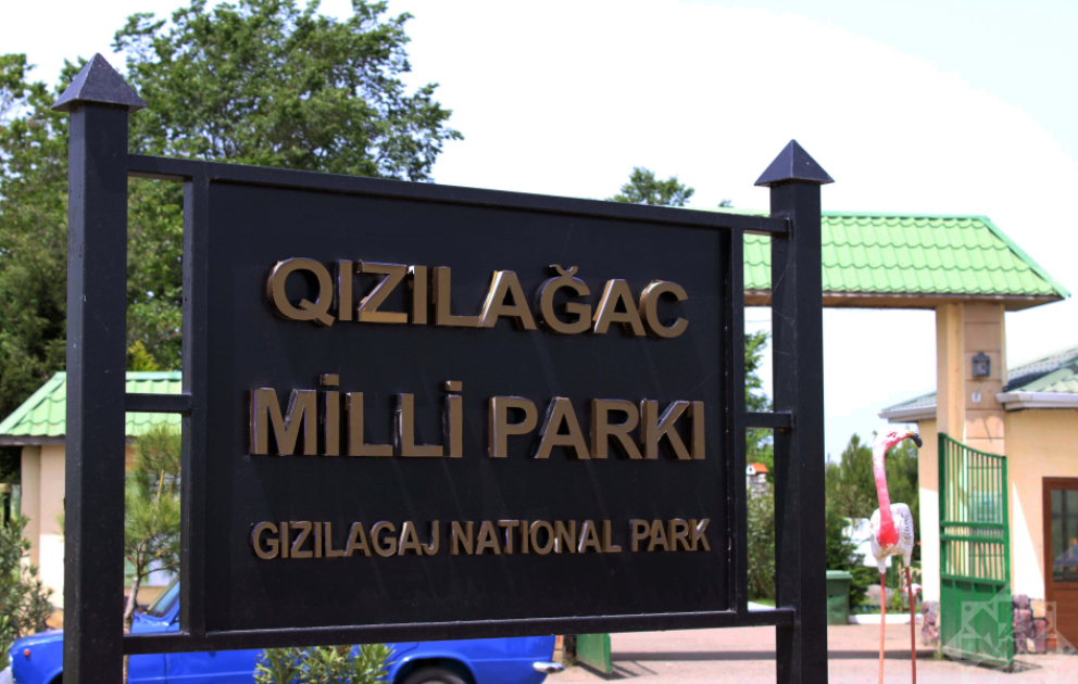 Qızılağac Milli Parkı – Azərbaycanın ən böyük su-bataqlıq ərazisindən FOTOREPORTAJ VİDEO