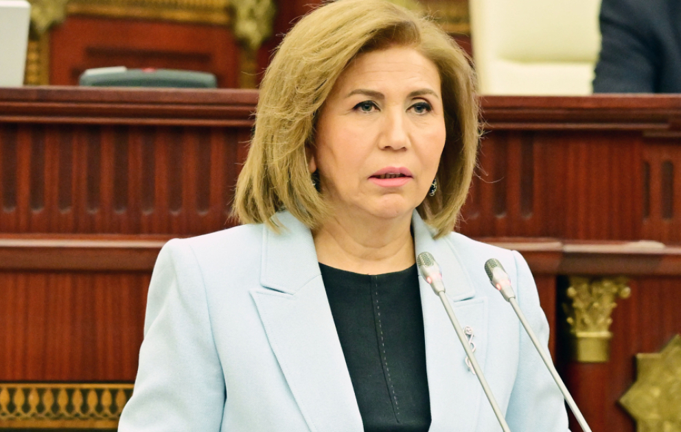 Bahar Muradova: 2024-cü ildə 21 kişiyə mühafizə orderi verilib VİDEO