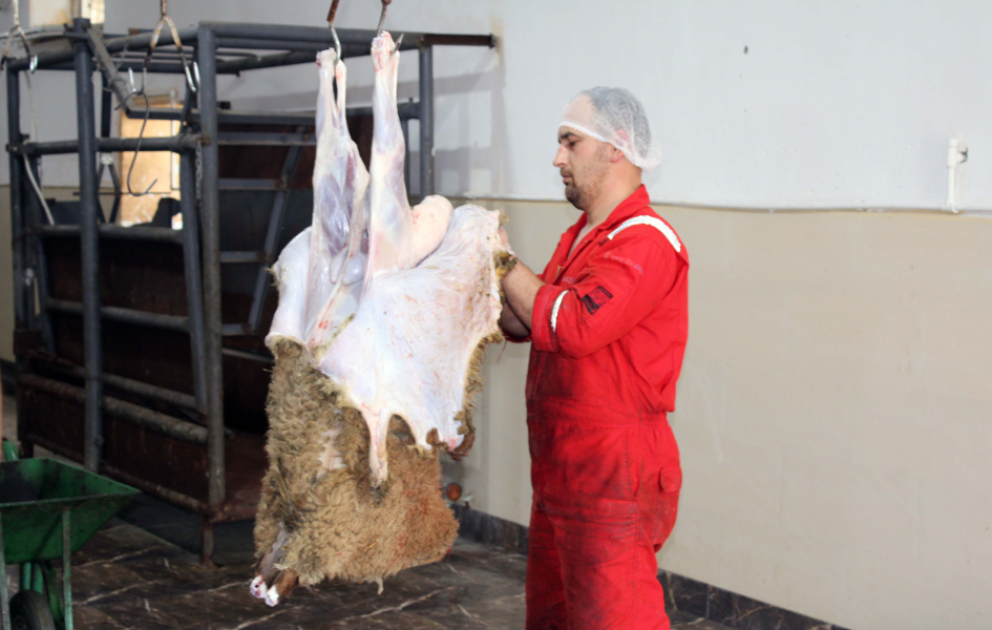 Qurban bayramı ilə əlaqədar Lənkəranda da xüsusi ət kəsimi məntəqəsi fəaliyyət göstərir VİDEO