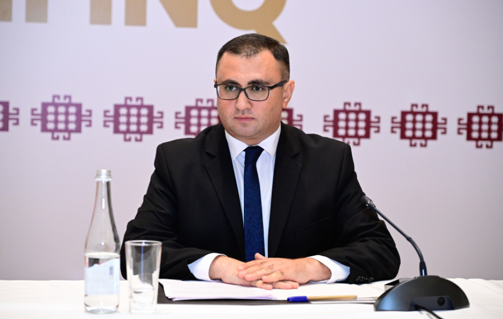 Elnur Bağırlı: Müxtəlif ölkələrdə Qərbi Azərbaycan həqiqətləri ilə bağlı 200-dən artıq məqalə nəşr olunub VİDEO