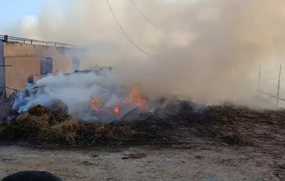 Salyanda ferma yanıb, heyvanlar tələf olub VİDEO