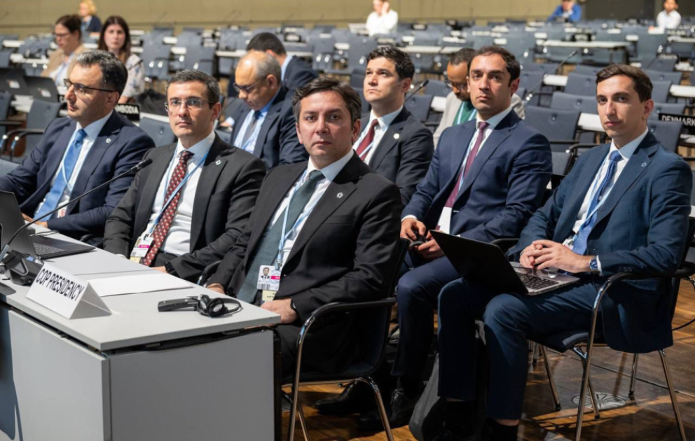 Yalçın Rəfiyev: Hər bir COP özündən əvvəlkiləri tamamlayır VİDEO