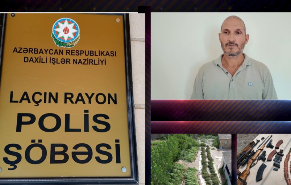 Laçın Rayon Polis Şöbəsindən əməliyyat tədbiri: 300-ə yaxın çətənə bitkisi və silah-sursat aşkarlanıb VİDEO