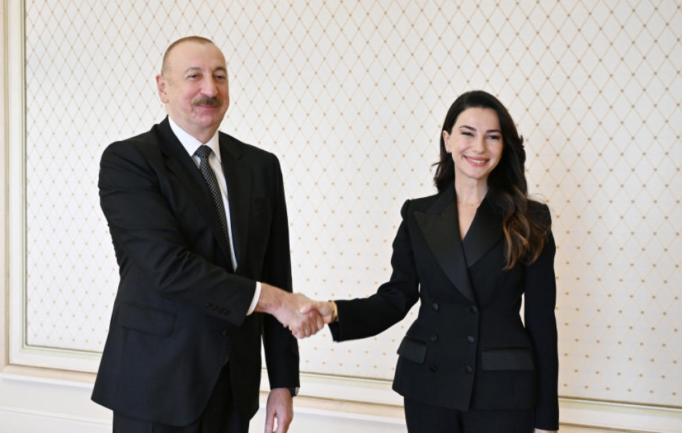 President of Azerbaijan Ilham Aliyev received Georgia’s Minister of Economy and Sustainable Development VIDEO