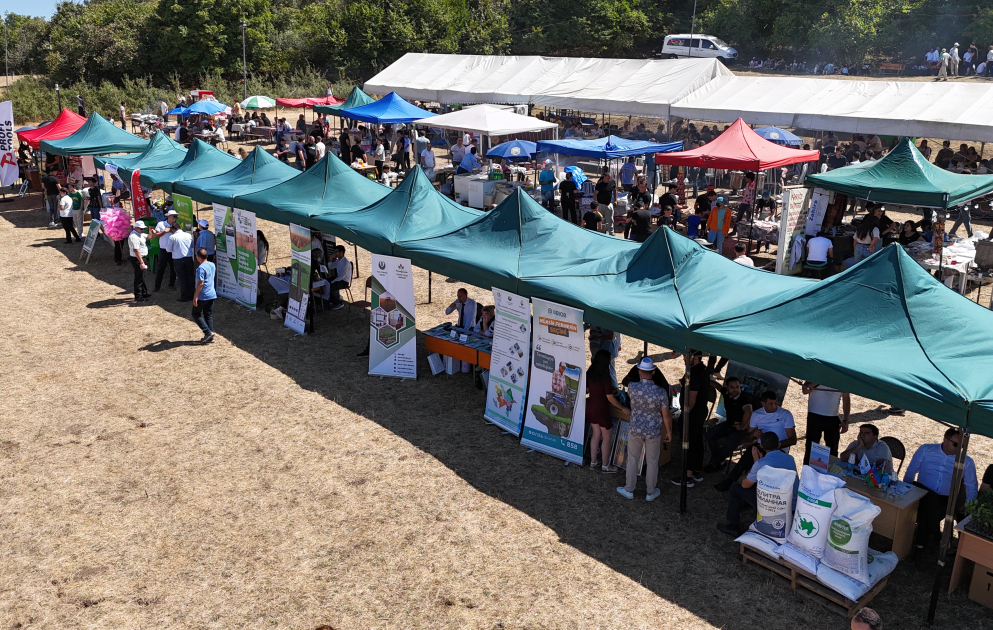 Göygöldə II Moruq Festivalı keçirilir VİDEO