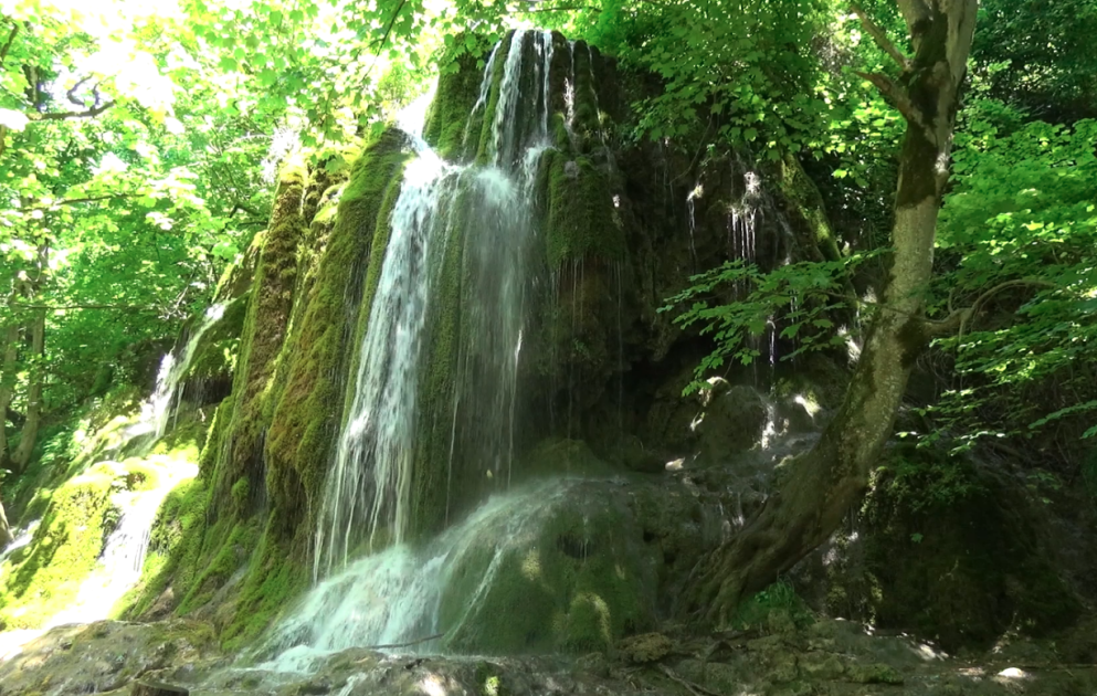 Qayalıqda yaşıl xalı - Mamırlı şəlalə FOTO VİDEO