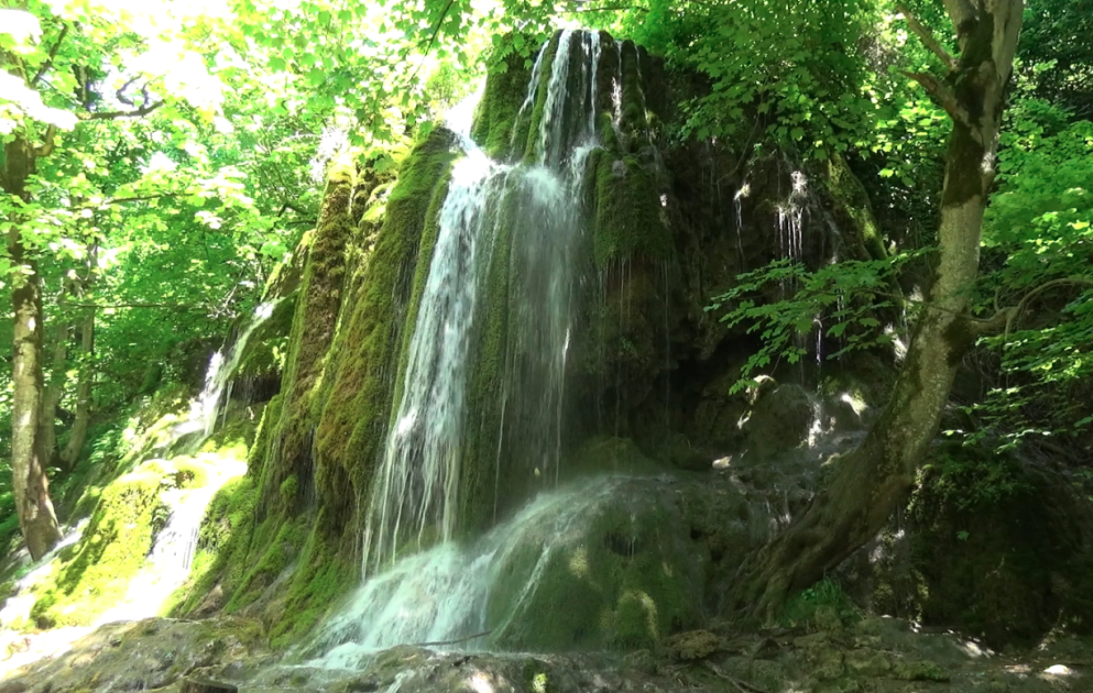 Green carpet covering rocks – Mamirli waterfall VIDEO