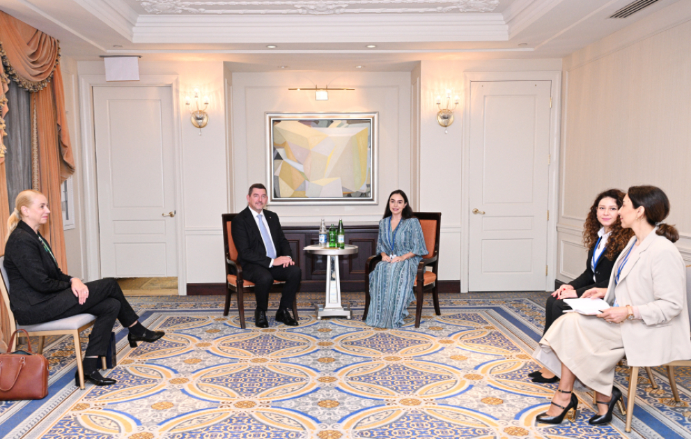 Vice-President of the Heydar Aliyev Foundation Leyla Aliyeva meets with Ales Musar, Spouse of the Slovenian President, in New York VIDEO