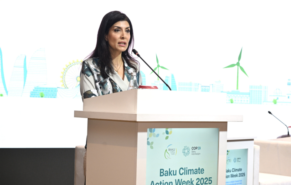 Nigar Arpadarai: Regional əməkdaşlıq ədalətli və dayanıqlı yaşıl enerji keçidinin əsas şərtidir VİDEO