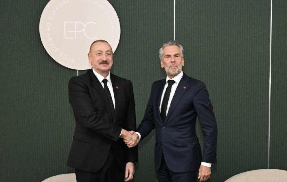 President of Azerbaijan Ilham Aliyev met with Prime Minister of the Netherlands in Copenhagen VIDEO