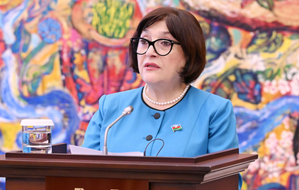 Sahibə Qafarova: Xorvatiya ilə minatəmizləmə sahələrində əməkdaşlıq xüsusi əhəmiyyət daşıyır VİDEO