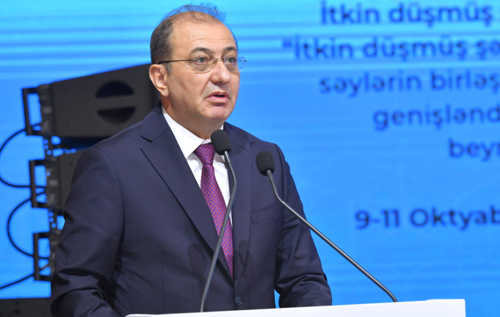 İtkin düşmüş şəxslərlə bağlı problemə həsr olunan konfrans beynəlxalq səyləri artırmaq və əməkdaşlığı gücləndirmək baxımından önəmlidir VİDEO