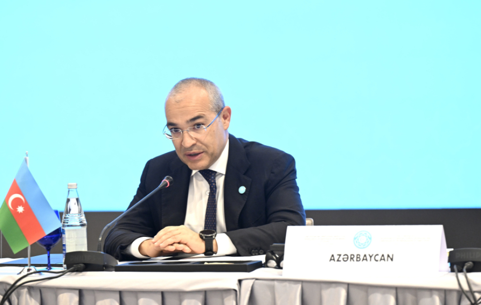 Nazir: Azad edilmiş ərazilərə Türk dövlətlərinin dəstəyi qardaşlıq həmrəyliyinin təcəssümüdür VİDEO