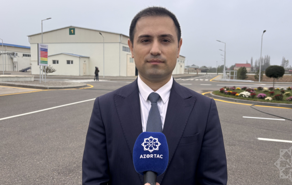“Azera Toxumçuluq” MMC-nin Sabirabaddakı müəssisəsində standart və hibrid toxum istehsal olunur VİDEO
