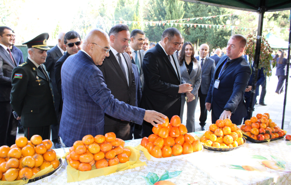 Balakəndə V Xurma festivalı keçirilib VİDEO