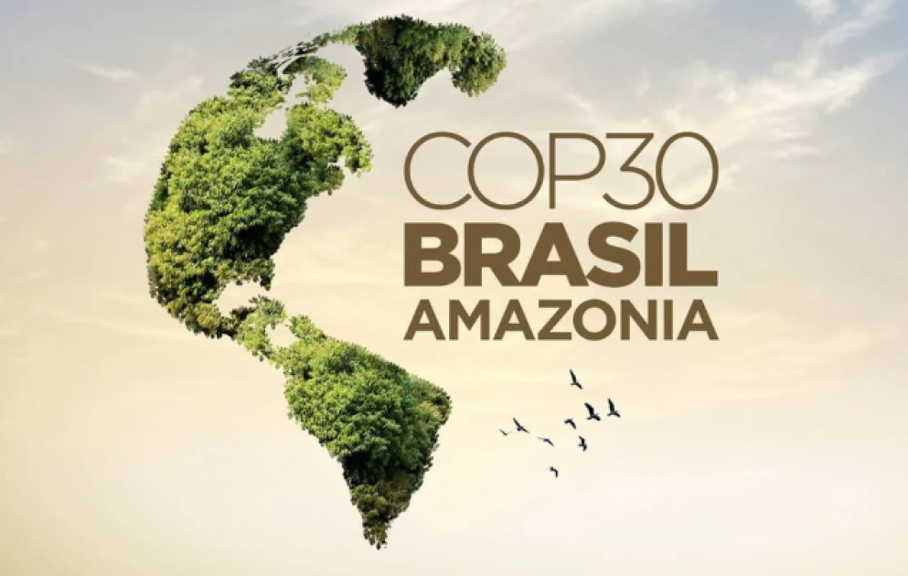 Почему интерес к конференции COP30 оказался ниже ожиданий? ВИДЕО