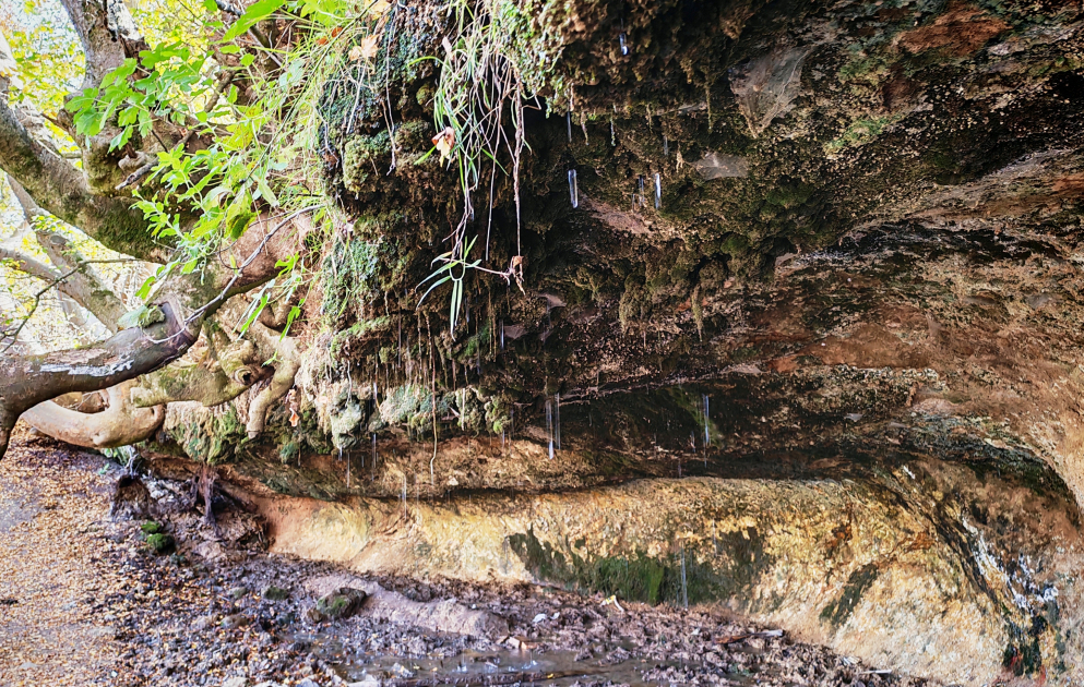 Khojaly’s Damjili Spring – where raw stone, timeworn wood, and crystal-clear water unite in harmony VIDEO