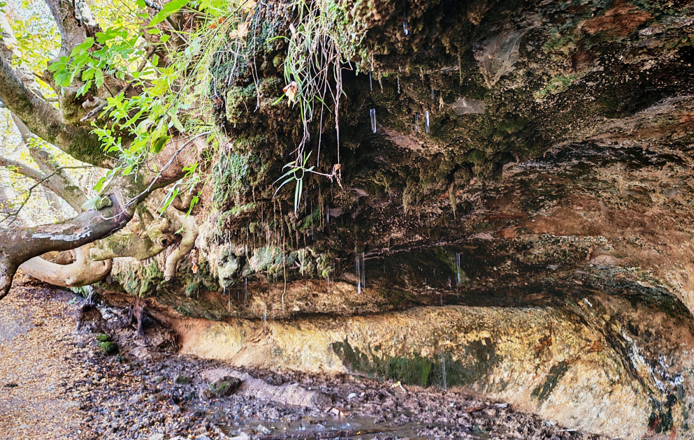 Damdschili-Quelle in Chodschali: Harmonie von Stein, Baum und Wasser VIDEO