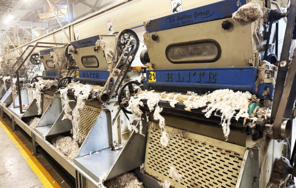 Biləsuvar pambığı xarici bazarlarda: mahlıc və çiyid ixracı artır