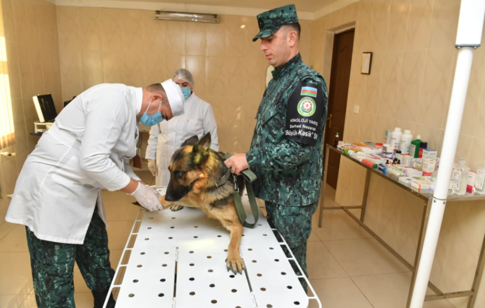 “Sərhədçilərin dostu” şüarı altında 7-ci kinoloji yarışlar keçirilib VİDEO
