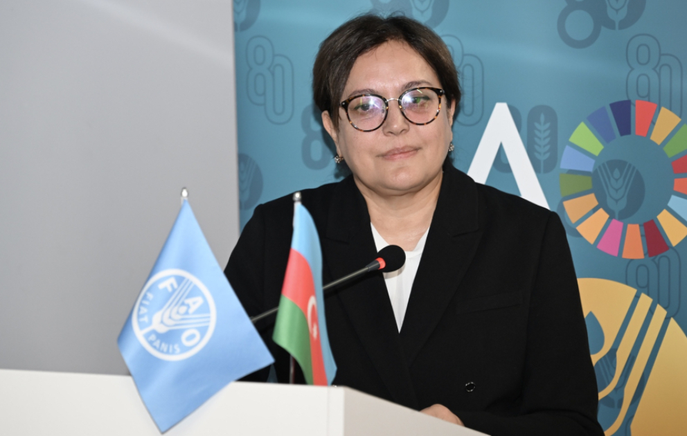 Nazir müavini: Azərbaycanda son dörd ildə 12 milyondan çox ağac əkilib VİDEO