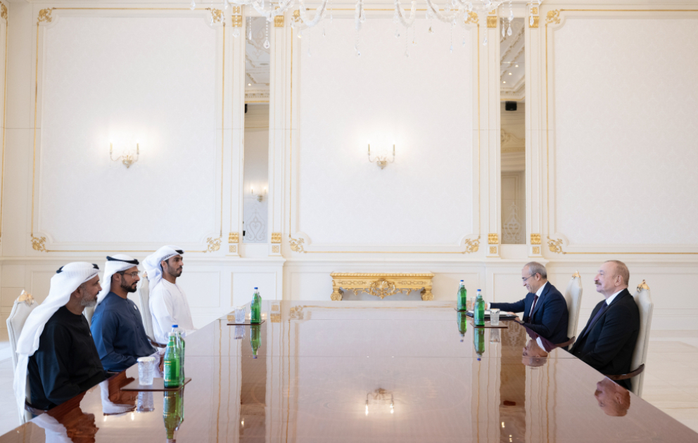 President Ilham Aliyev received heads of several UAE companies VIDEO
